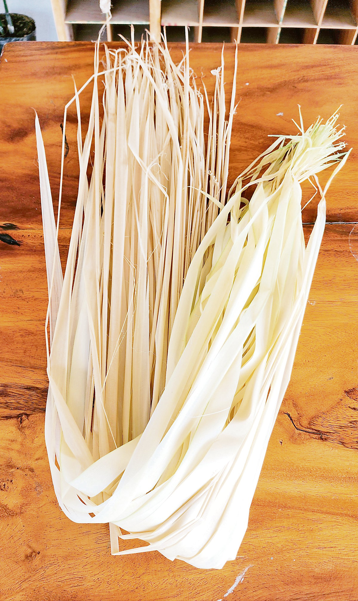 Strips of young buri leaves to be used for weaving.